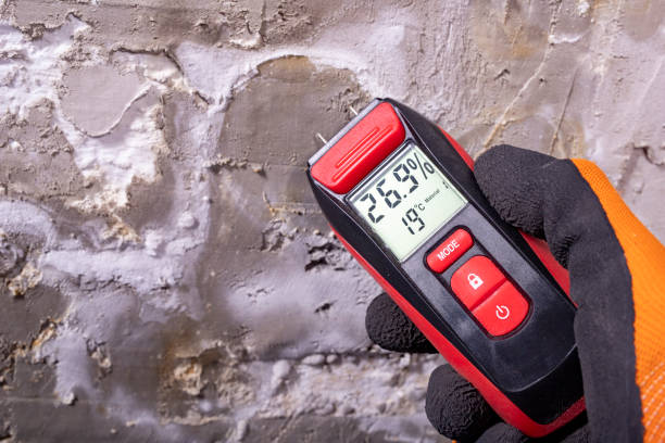Best Professional Mold Removal  in Pontiac, IL
