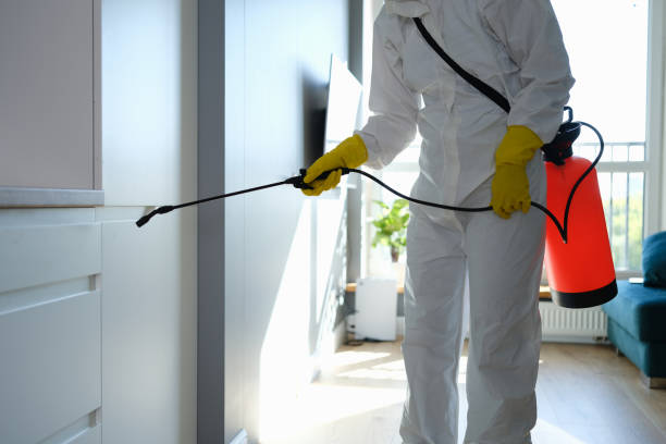 Best Home Mold Removal  in Pontiac, IL