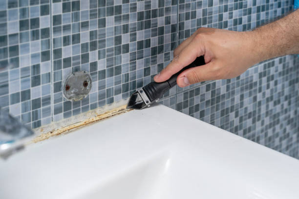 Best Mold Removal Near Me  in Pontiac, IL