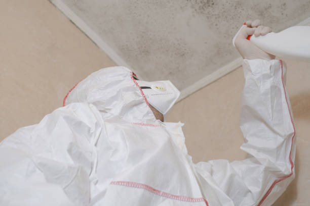 Best Home Mold Removal  in Pontiac, IL